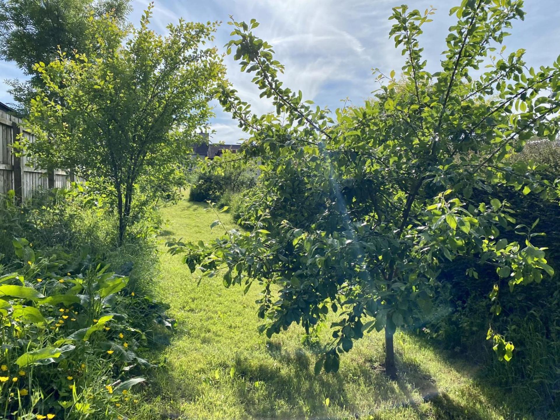 Fairhill Cottage Perfect Location With Garden In Central Ballycastle Εξωτερικό φωτογραφία